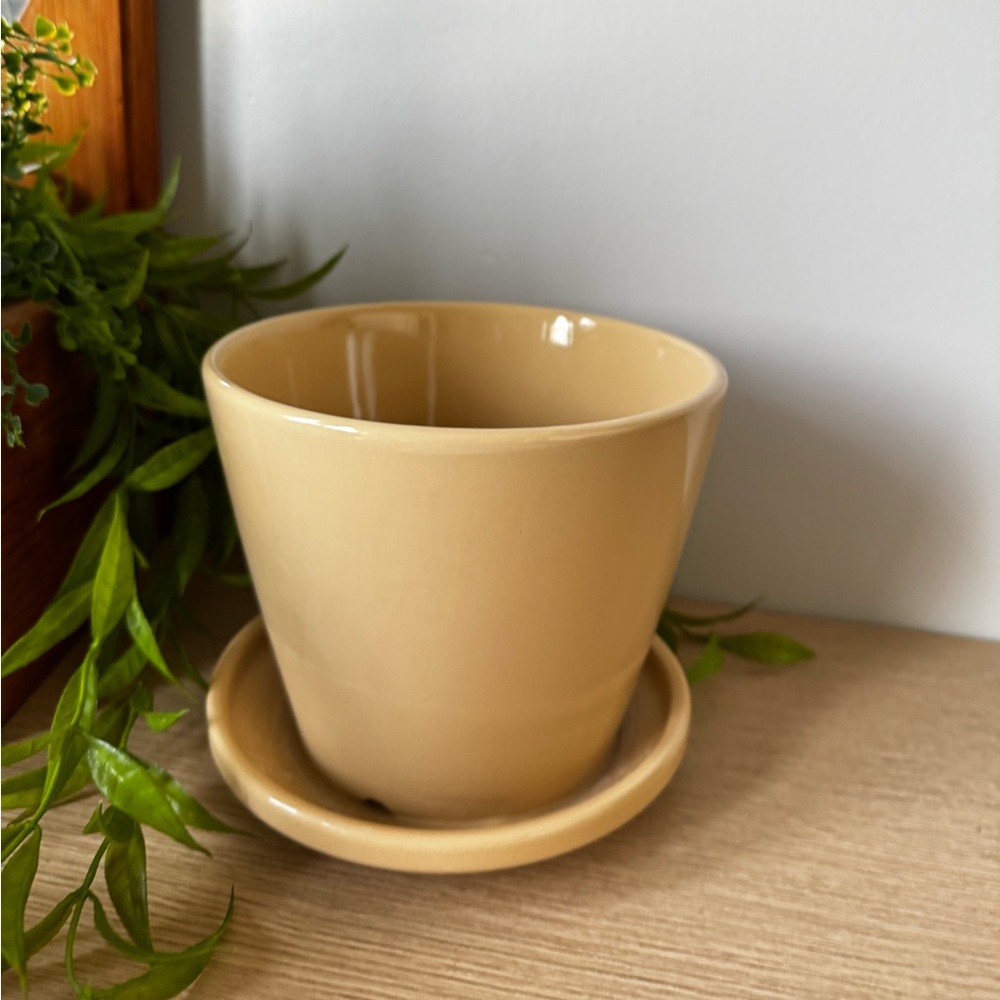 Cream Ceramic Planter with Saucer